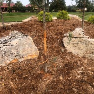 Meet your Posher, Ian